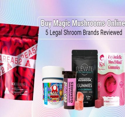 Navigating the Market: Best Magic Mushroom Gummies Choices